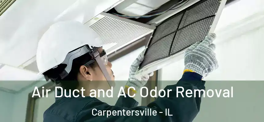  Air Duct and AC Odor Removal Carpentersville - IL