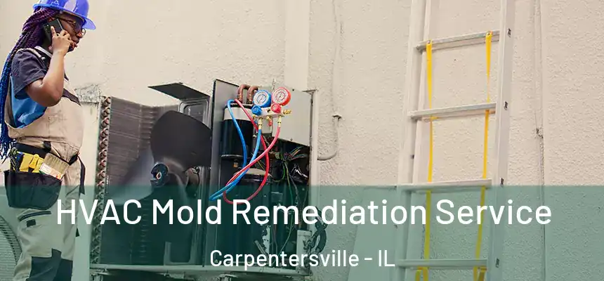  HVAC Mold Remediation Service Carpentersville - IL