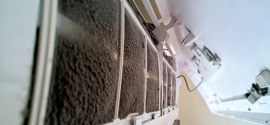 Preventive Air Duct Bacteria Removal in Carpentersville