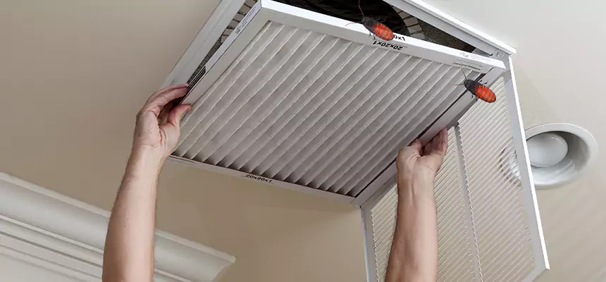 Preventive Cockroach-Proofing for Ducts in Carpentersville