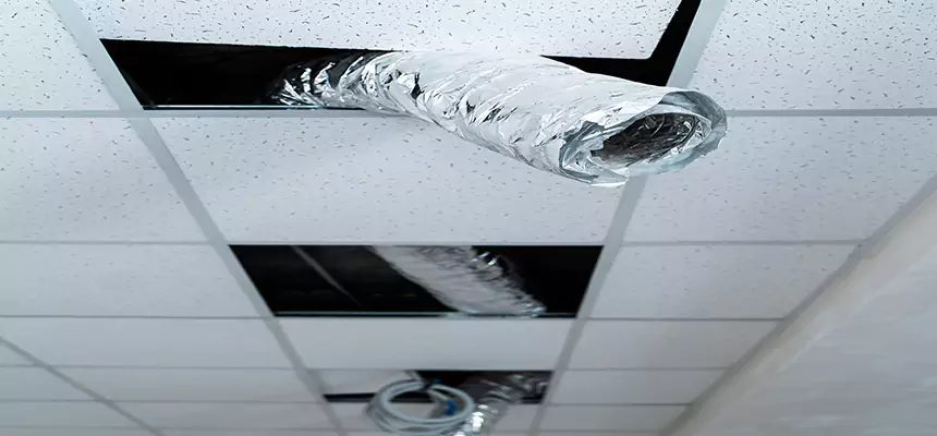 Affordable HVAC Sanitizing After Pest Removal in Carpentersville