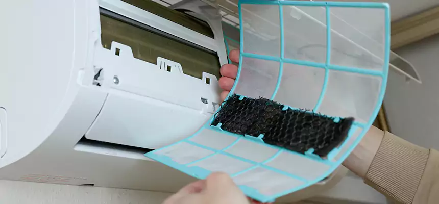 Gentle Ductwork Odor-Control Pet Dander Duct Cleaning in Carpentersville, IL