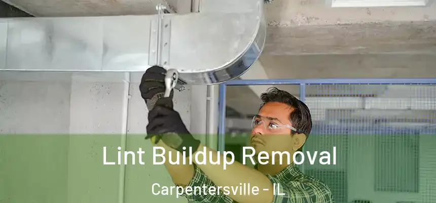  Lint Buildup Removal Carpentersville - IL