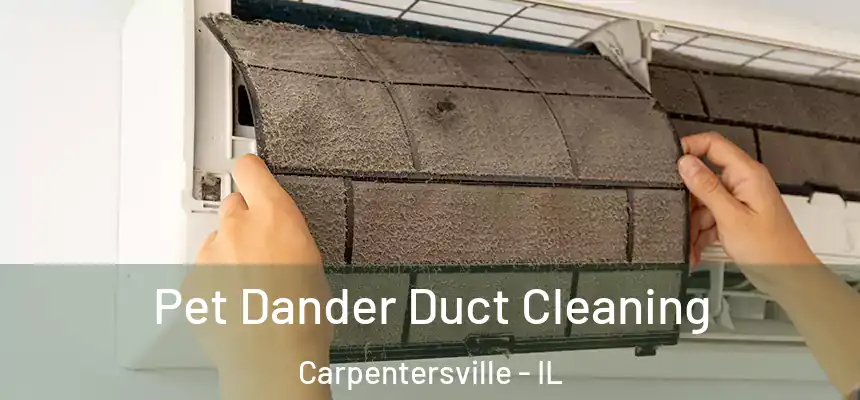 Pet Dander Duct Cleaning Carpentersville - IL
