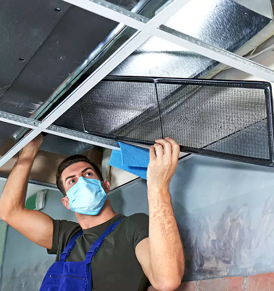 Professional Air Duct Pollen Cleaning in Carpentersville, IL