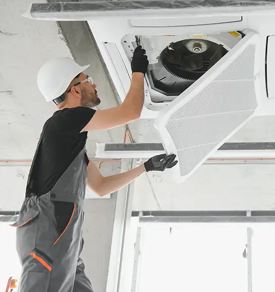 About Air Duct Rodent Removal in Carpentersville, IL