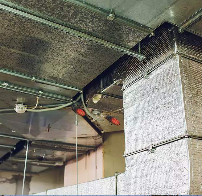 Why Homeowners & Businesses Trust Us in Carpentersville, IL?