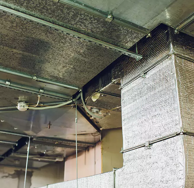 Why Homeowners & Businesses Trust Us in Carpentersville, IL?